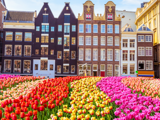 Amsterdam + Festiwal Tulipanów