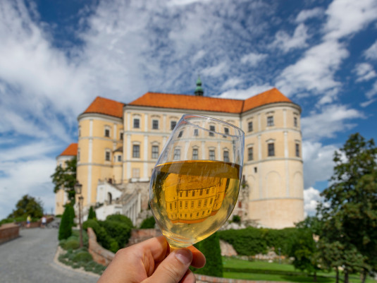 Święto młodego wina na Morawach